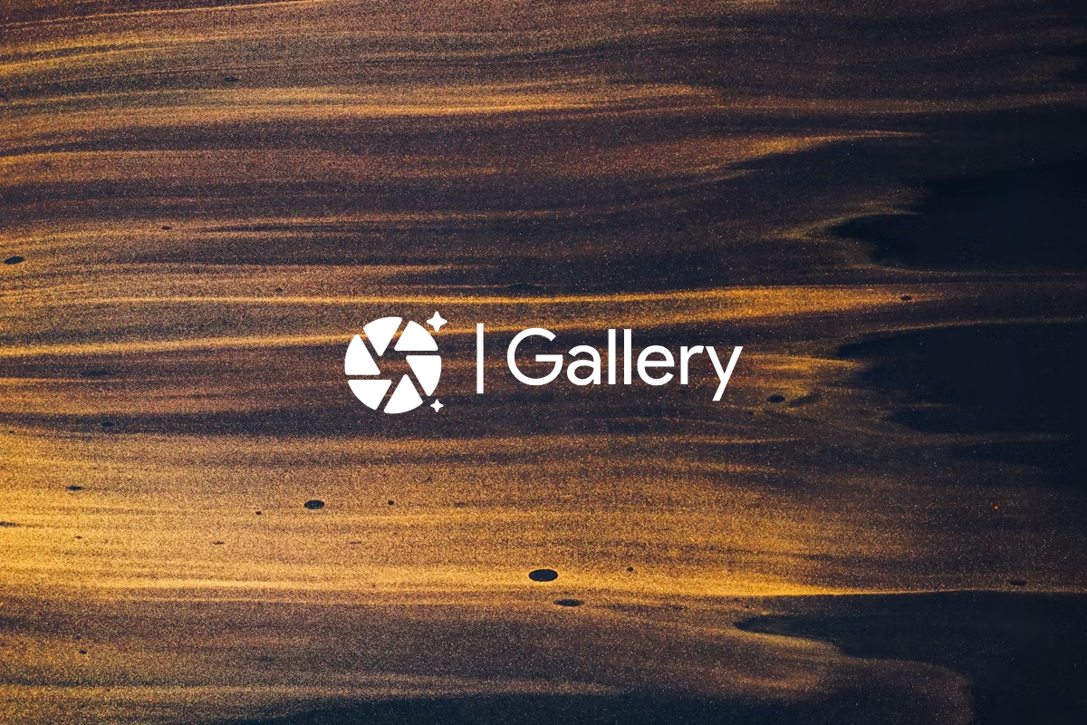 LLM Vision | Gallery